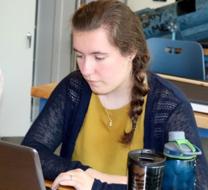 A Capital Region BOCES student works at a laptop computer.