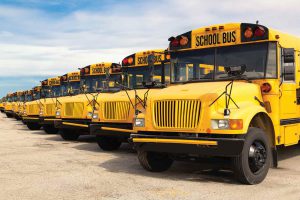 A line of school busses