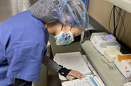 An adult Sterile Processing Technician student, wearing a clear blue protective hair covering, blue, white and purple protective face mask and blue scrub top, adds notes to a chart on a desktop in a lab.