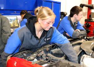 Sage doing work on a car