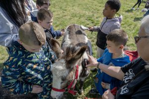 A group of elementary students surround and pet a donkey, with two teaching assistants there to support them.